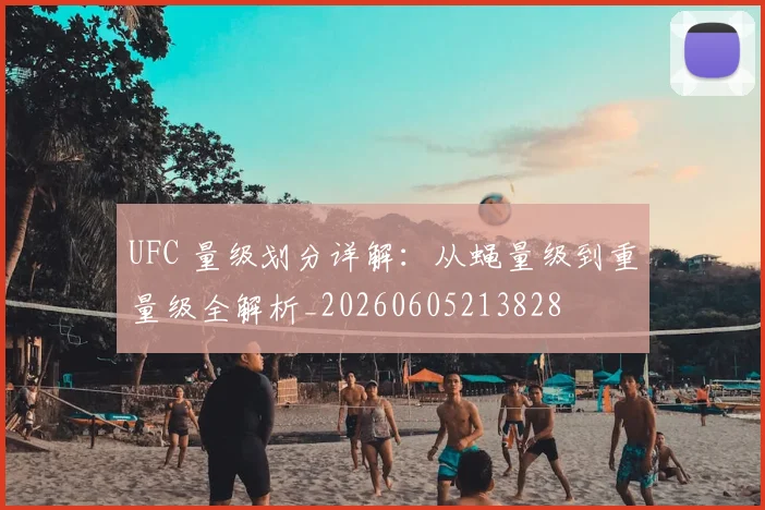 UFC 量级划分详解:从蝇量级到重量级全解析_20260605213828